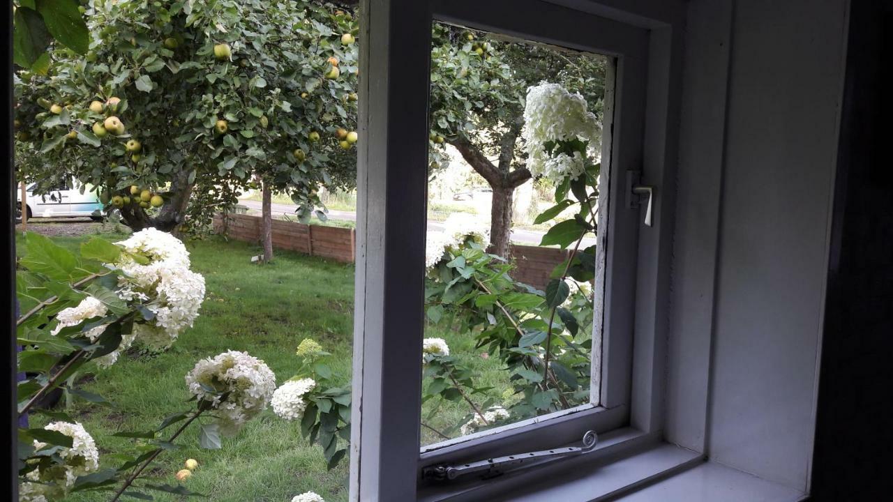 Hemrik Riley'S Cottage מראה חיצוני תמונה