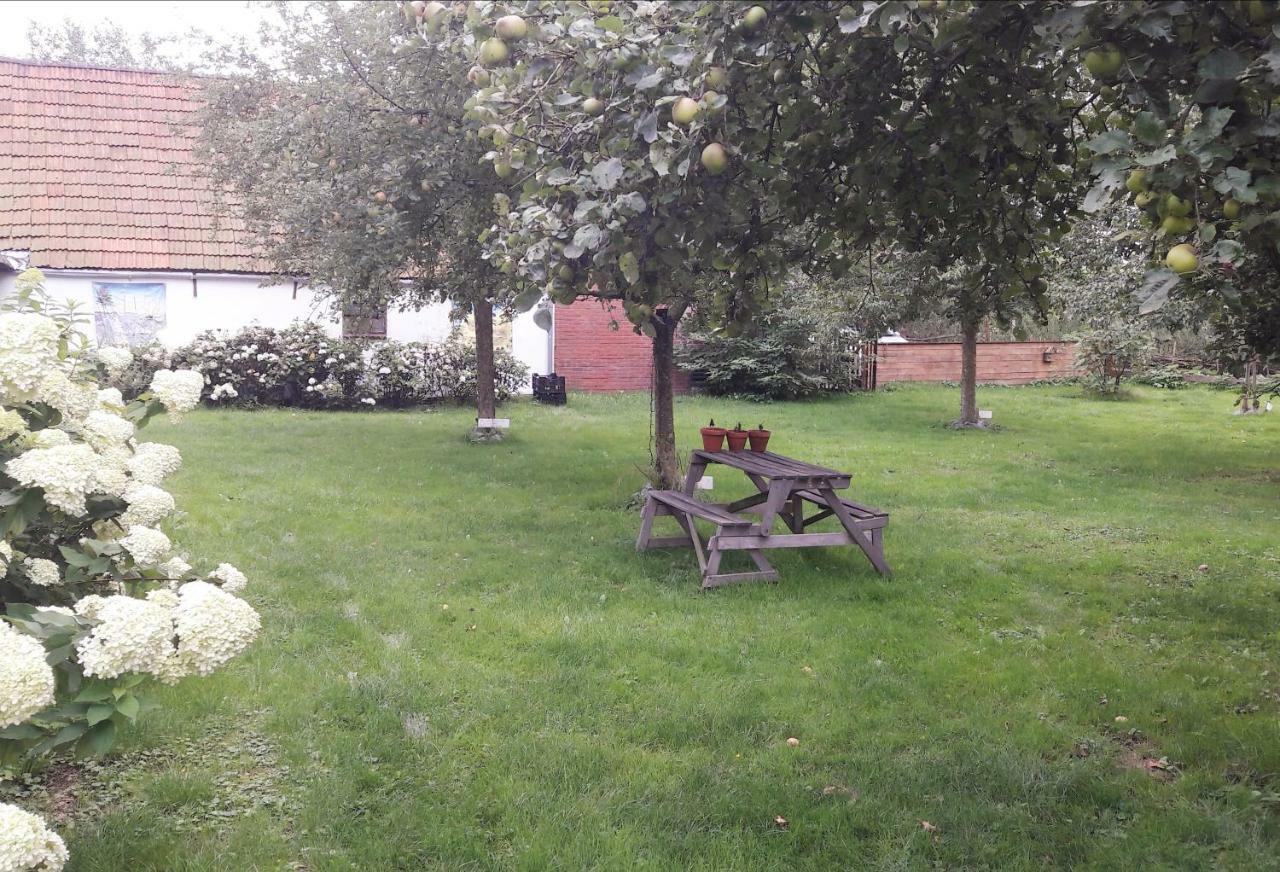 Hemrik Riley'S Cottage מראה חיצוני תמונה